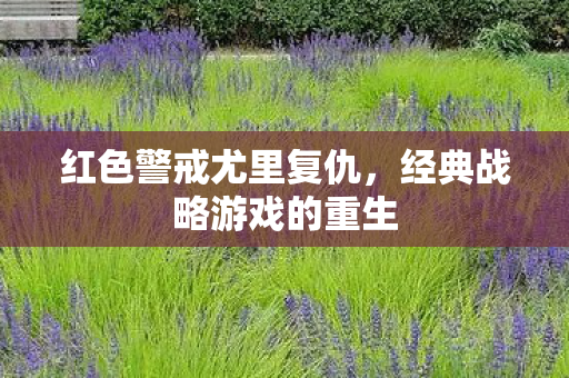 经典战略游戏的重生图片