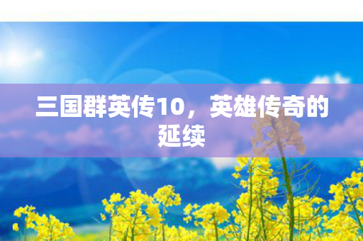 三国群英传10图片