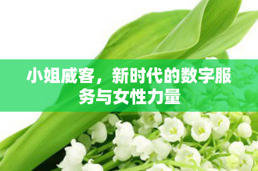 新时代的数字服务与女性力量图片