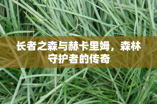 长者之森与赫卡里姆图片