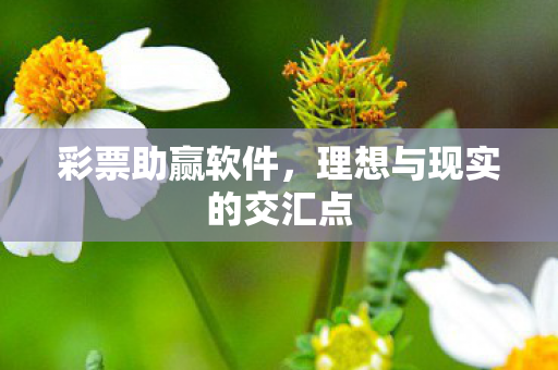 理想与现实的交汇点图片