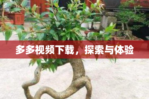 多多视频下载图片