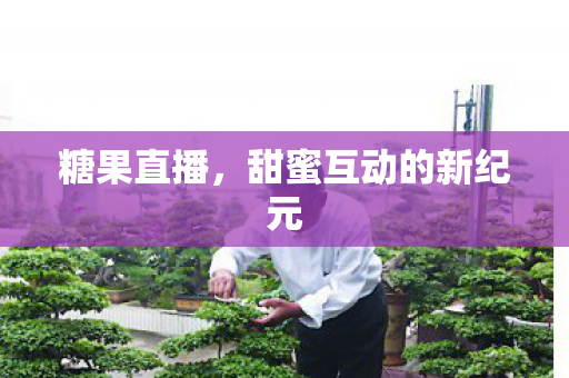 甜蜜互动的新纪元图片