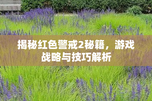 揭秘红色警戒2秘籍图片