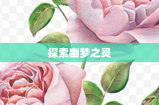 探索幽梦之灵图片