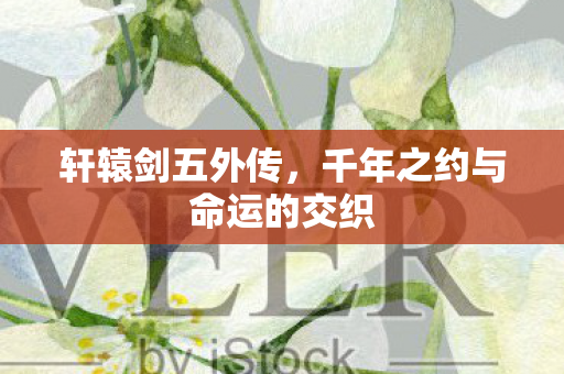千年之约与命运的交织图片
