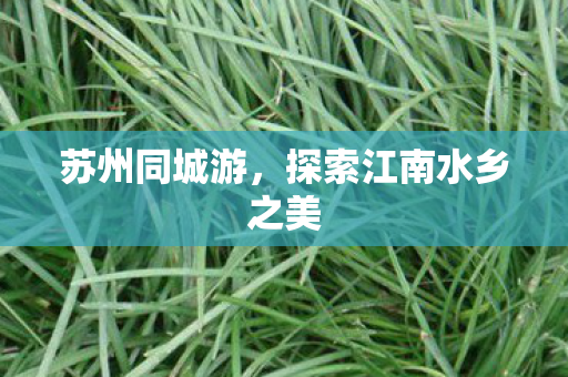 探索江南水乡之美图片