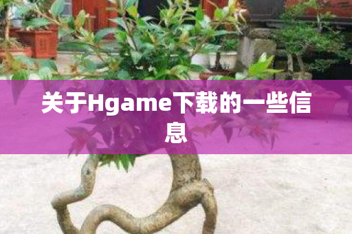 关于Hgame下载的一些信息图片
