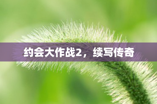 约会大作战2图片