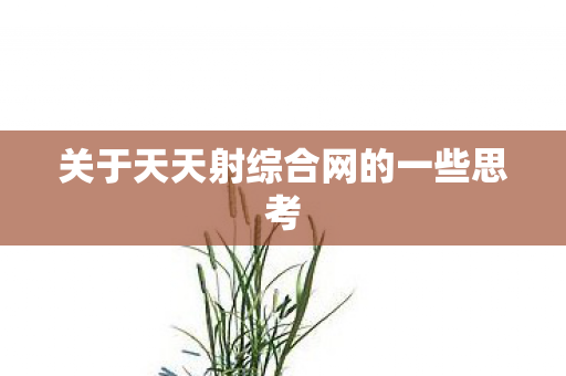 关于天天射综合网的一些思考图片