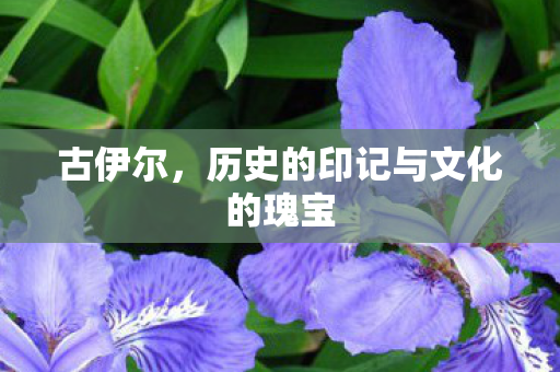历史的印记与文化的瑰宝图片