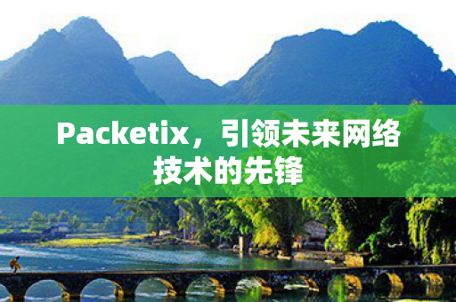 引领未来网络技术的先锋图片
