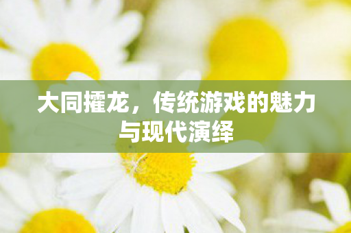 传统游戏的魅力与现代演绎图片