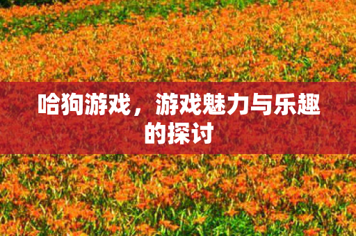 游戏魅力与乐趣的探讨图片