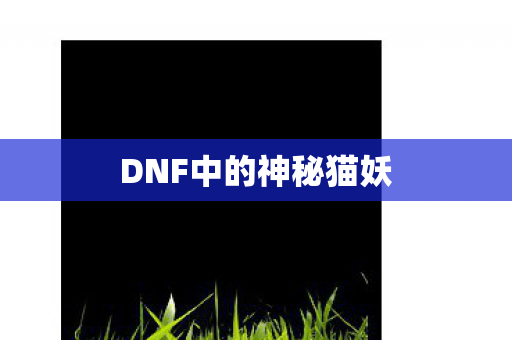 DNF中的神秘猫妖图片