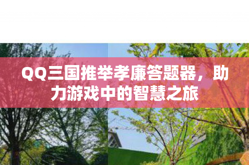 QQ三国推举孝廉答题器图片