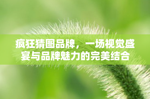 一场视觉盛宴与品牌魅力的完美结合图片