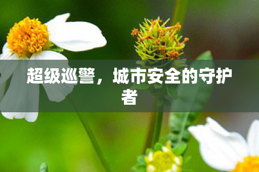 城市安全的守护者图片