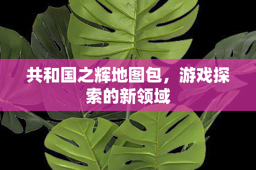 共和国之辉地图包图片