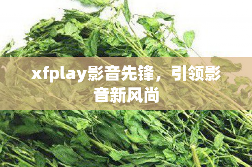 xfplay影音先锋图片