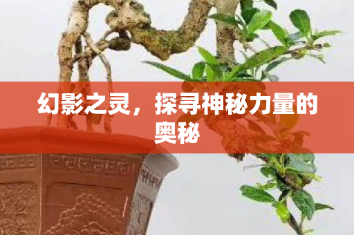 探寻神秘力量的奥秘图片