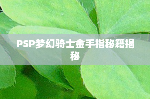 PSP梦幻骑士金手指秘籍揭秘图片