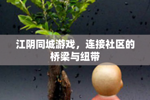 连接社区的桥梁与纽带图片