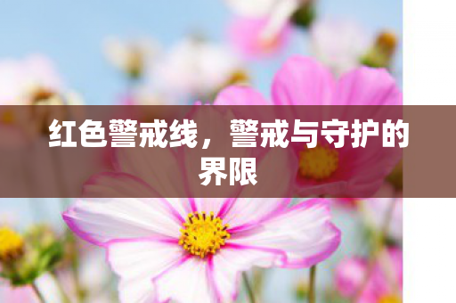警戒与守护的界限图片