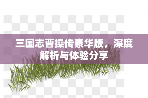 三国志曹操传豪华版图片