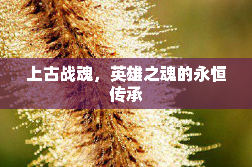 英雄之魂的永恒传承图片
