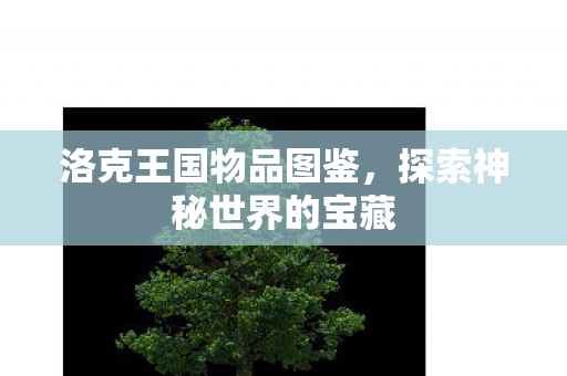 探索神秘世界的宝藏图片