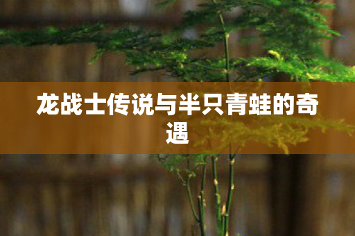 龙战士传说与半只青蛙的奇遇图片