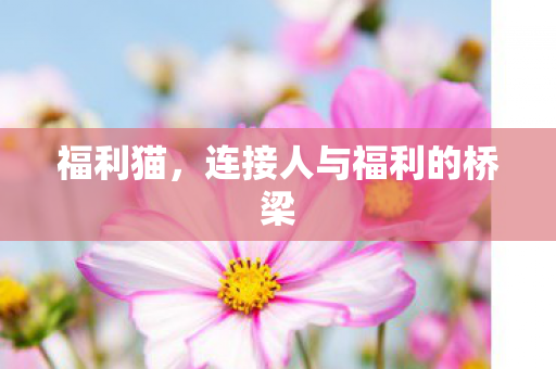 连接人与福利的桥梁图片