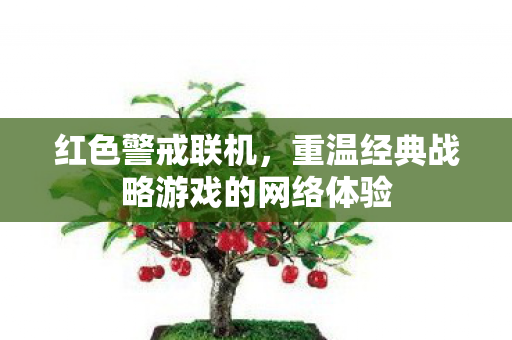 重温经典战略游戏的网络体验图片