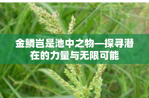 探寻潜在的力量与无限可能图片