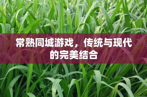 传统与现代的完美结合图片