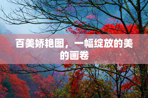 一幅绽放的美的画卷图片