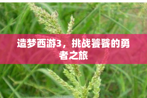 挑战饕餮的勇者之旅图片
