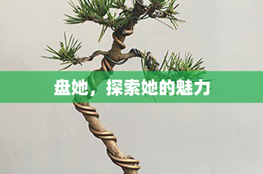 探索她的魅力图片