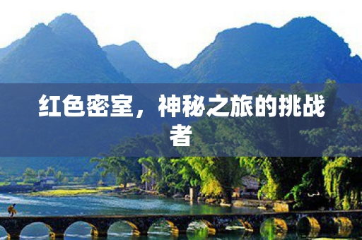 神秘之旅的挑战者图片
