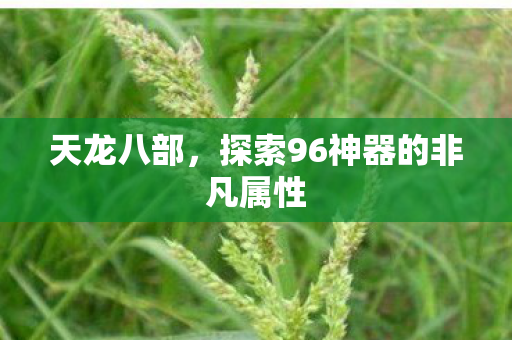 探索96神器的非凡属性图片