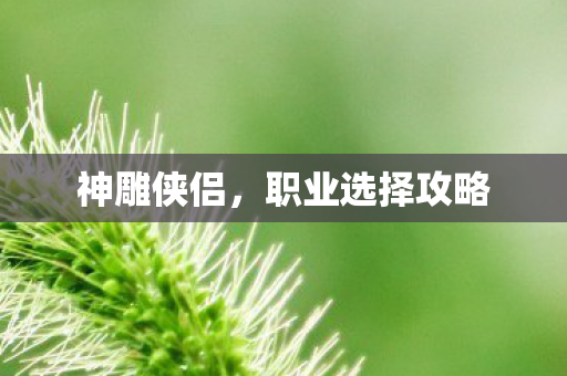 职业选择攻略图片