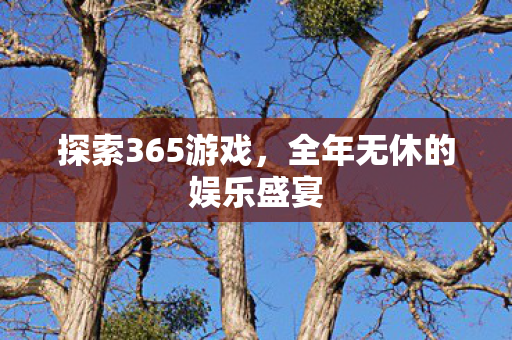 全年无休的娱乐盛宴图片