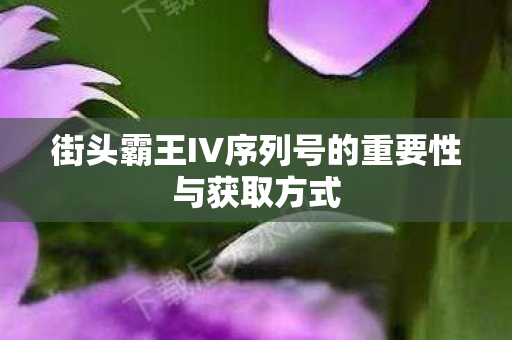 街头霸王IV序列号的重要性与获取方式图片