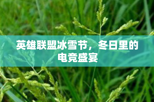 冬日里的电竞盛宴图片