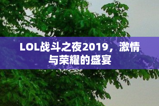 LOL战斗之夜2019图片