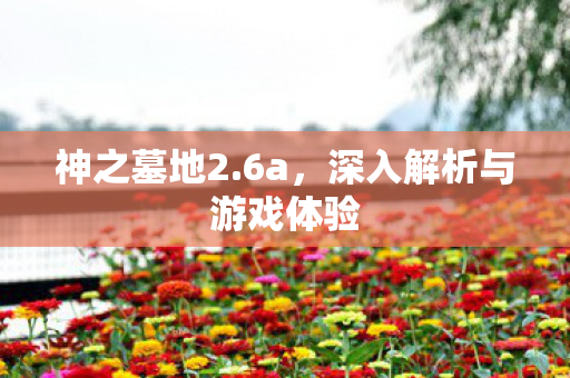 深入解析与游戏体验图片