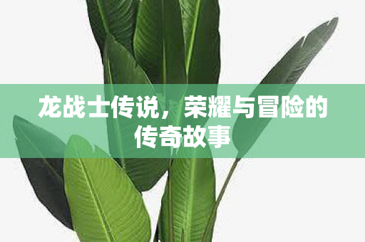 荣耀与冒险的传奇故事图片