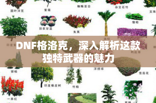 深入解析这款独特武器的魅力图片