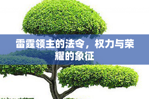 权力与荣耀的象征图片